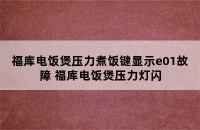 福库电饭煲压力煮饭键显示e01故障 福库电饭煲压力灯闪